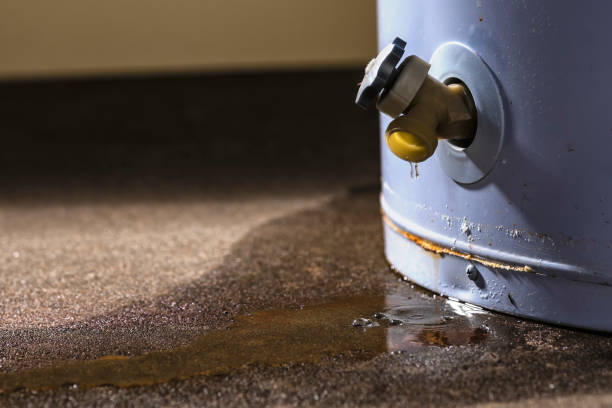 Best Fire Damage Restoration  in North Bay Village, FL