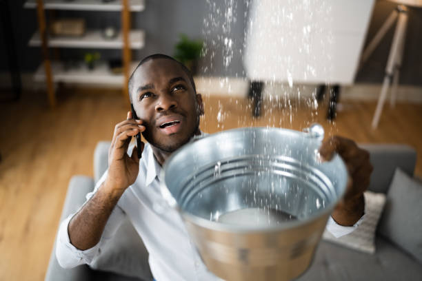 Best Ceiling water damage repair  in North Bay Village, FL