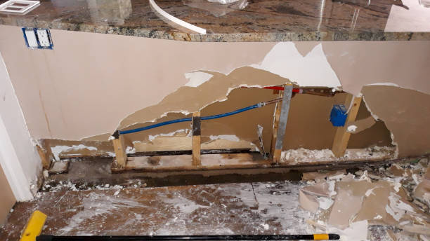 Best Ceiling water damage repair  in North Bay Village, FL