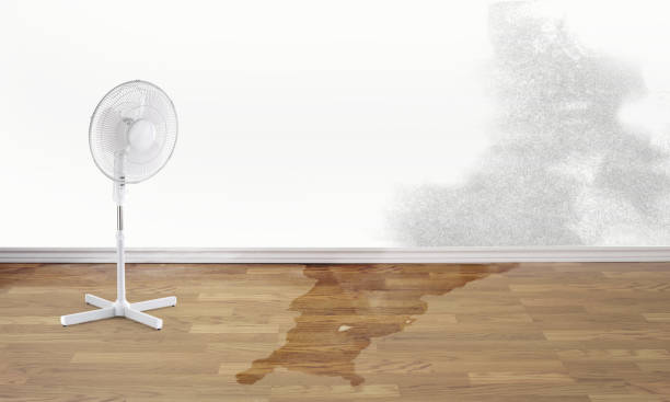 Best Flood damage cleanup  in North Bay Village, FL
