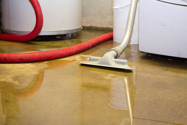Best Local water damage restoration  in North Bay Village, FL
