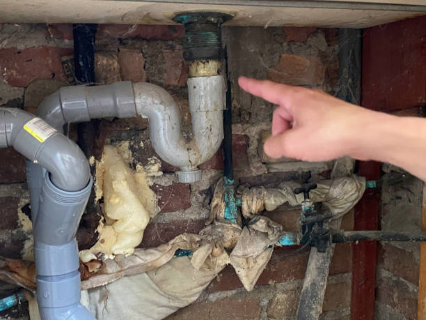 Best Basement water damage restoration  in North Bay Village, FL