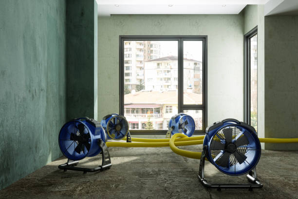 Best Professional water damage repair  in North Bay Village, FL